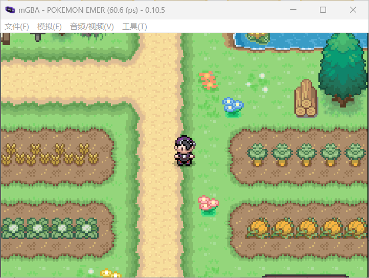 [GBA教程]pokeemerald动态地图块实操记录-宝可梦营地