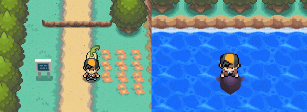 02_nsbtp_nsbta_flowers_seawaves-b9dc4bea6cf73e743551139591d00d2b